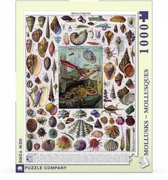 New York Puzzle Company Puzzle Mollusks - 1000 pieces