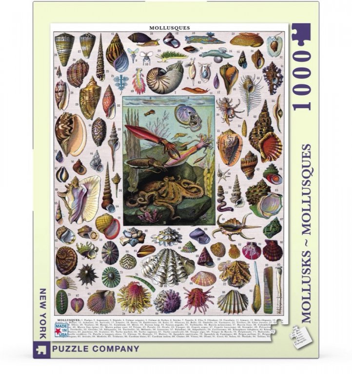 New York Puzzle Company Puzzle Mollusks - 1000 pieces