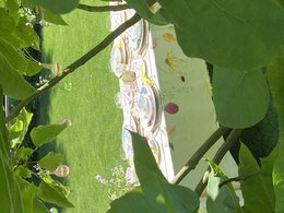 Rectangular tablecloth with a floral pattern featuring butterflies, flowers, and leaves in vibrant colors.