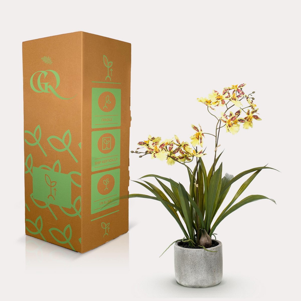 Plante artificielle - Orchidée - Jaune - 45cm