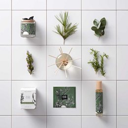 Bâtons parfumés Mikado Diffuseur | Parfum romarin, pin et eucalyptus | Paseo Silvestre | 100ml/3,38 fl.oz
