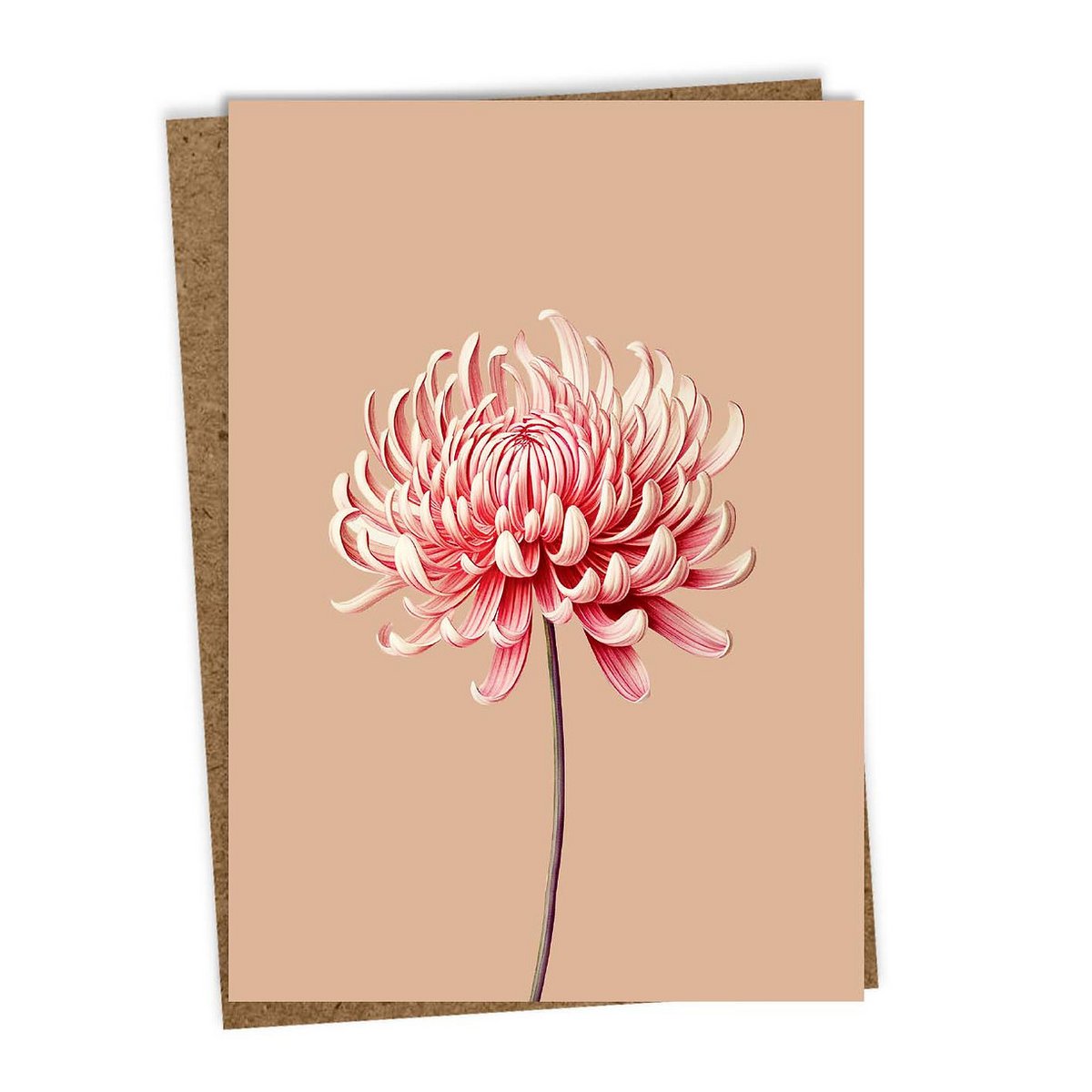 Wenskaart Leporello Chrysant