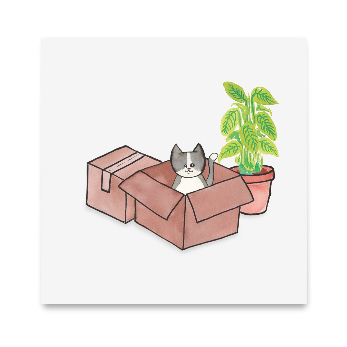 M0023 - Kat Moppie