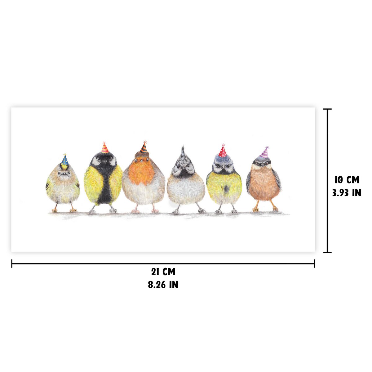 Süße Partyvögel – Geburtstagskarte – 21 x 10 cm