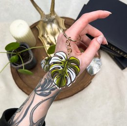 Monstera Variegata