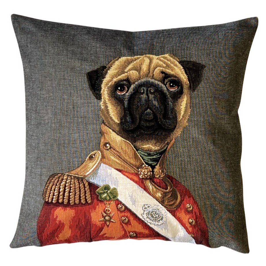 dachshund pillow cover