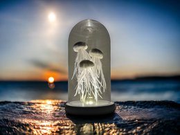 Witte Kwallen（YF-02-KWAL-WIT-LED）