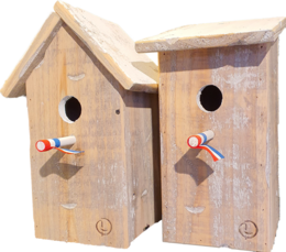 birdhouse old dutch StB skew roof