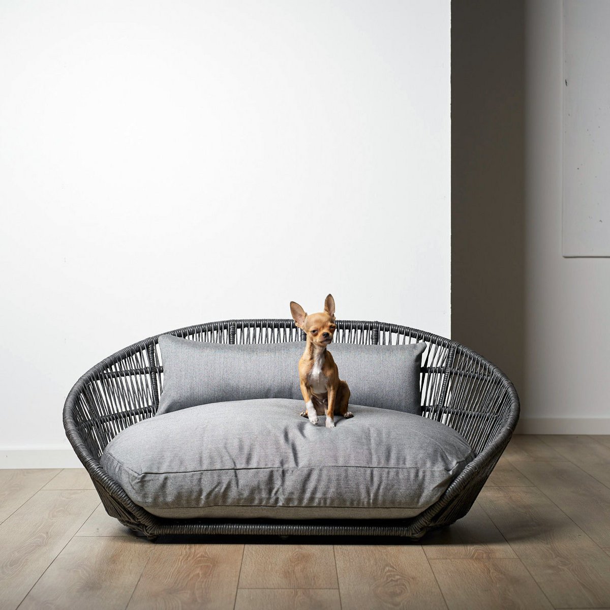 PRADO - Design-Hundebett LISCIO