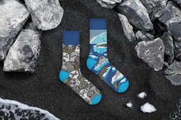 SELLOS SOCKS | Calcetines de foca ártica - calcetines no coincidentes casuales