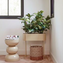 Urtepotte inde i Moritz Beige