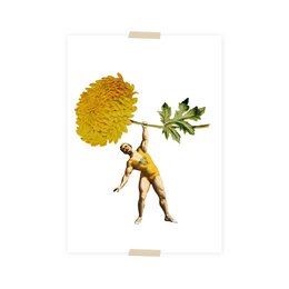 A postcard featuring a collage with a strong man holding a large yellow chrysanthemum flower. The image suggests a vintage or retro style.