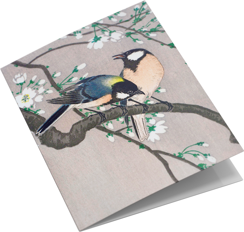 Grußkarten-Set Vogeldrucke