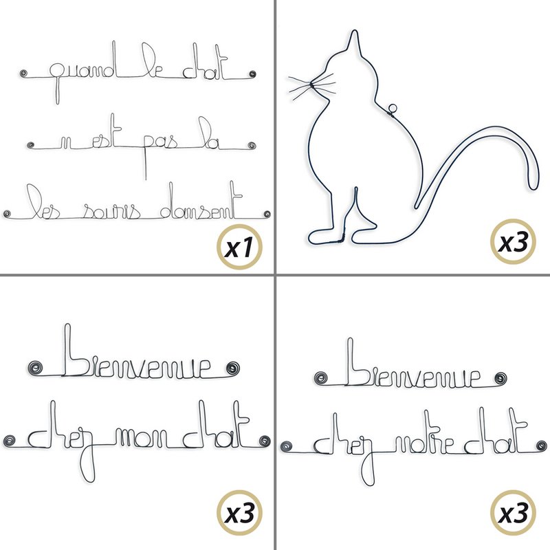 10% OFF IMPLEMENTATION PACK: Cat
