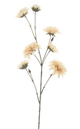 Cream dahlia spray flowers, tall stem arrangement, botanical floral decoration, artificial blooms.