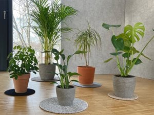 Bloempotonderzetter flora-s, ⌀ 25 cm, 7 kleuren