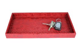 Plateau rectangulaire pour reptiles rouge