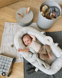 Baby Milestone Cards