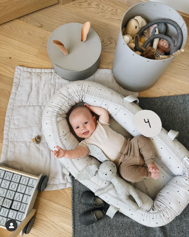 Baby Milestone Cards