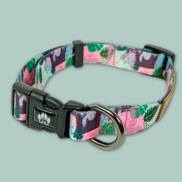 Collier pour chien Cactus