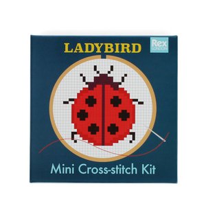 Mini borduurpakket - Lieveheersbeestje