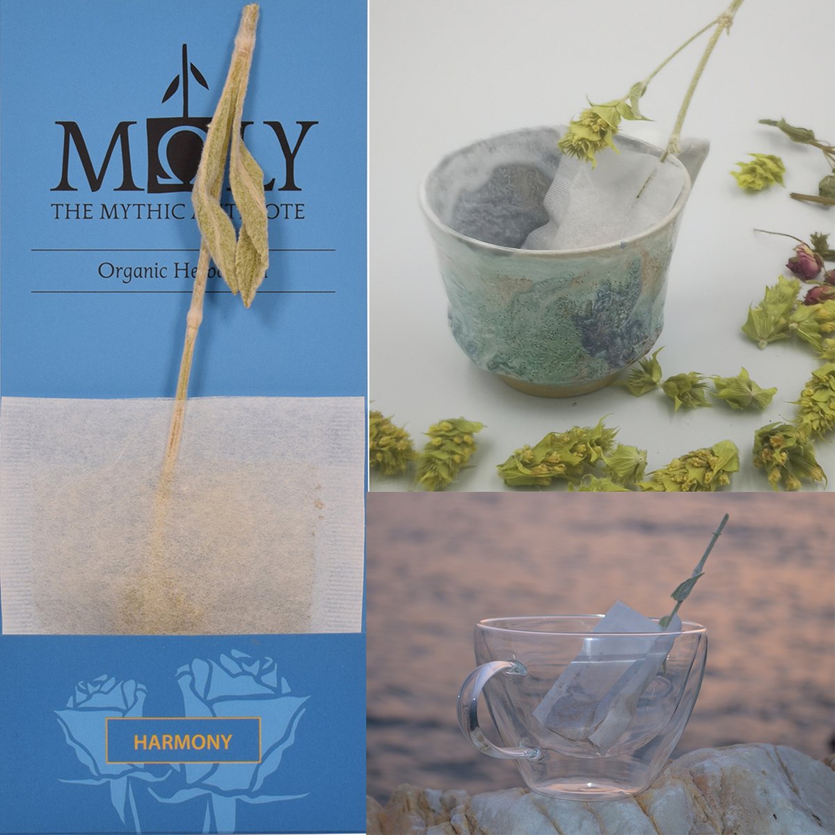MΩLY "Harmony" – HoReCa Urtete med Naturlig Urtestilk