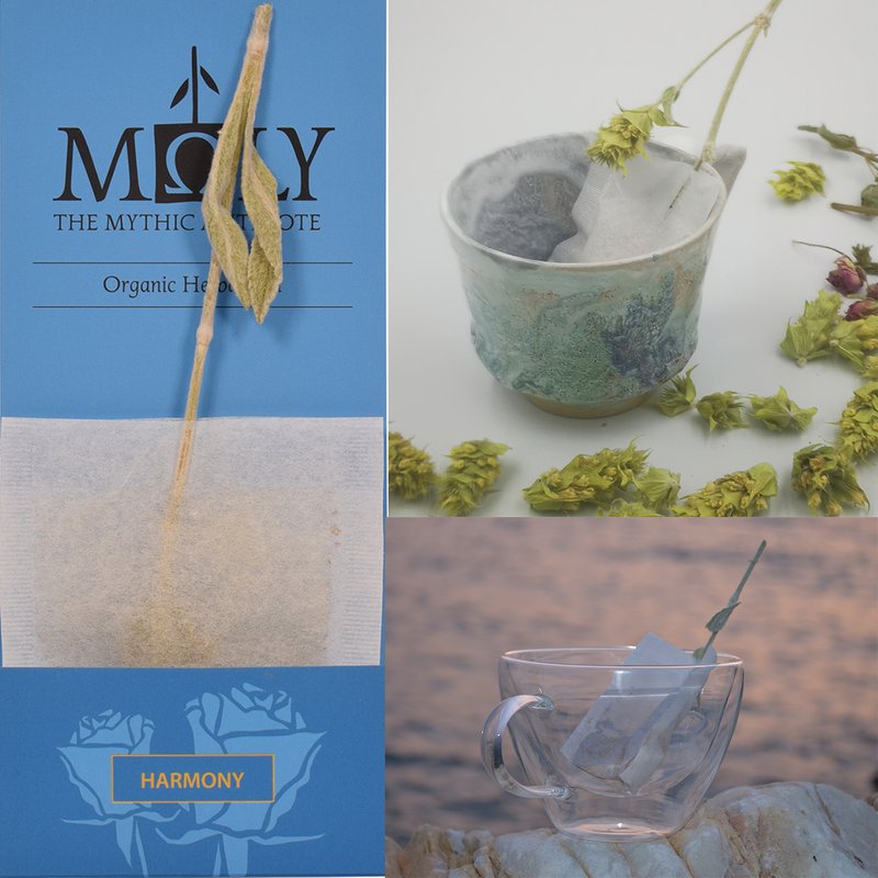 MΩLY "Harmony" – HoReCa Herbal Tea with Natural Herbal Stem