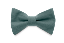 A grey bow tie made of high-quality fabric. Suitable for formal occasions and can be paired with a variety of outfits.