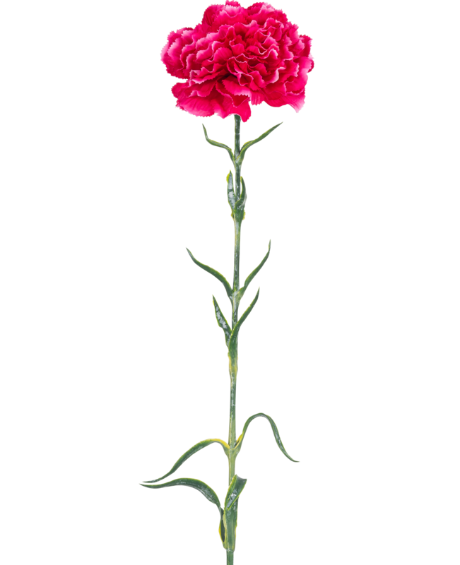 Kunstig blomst Nellik 69 cm lys pink