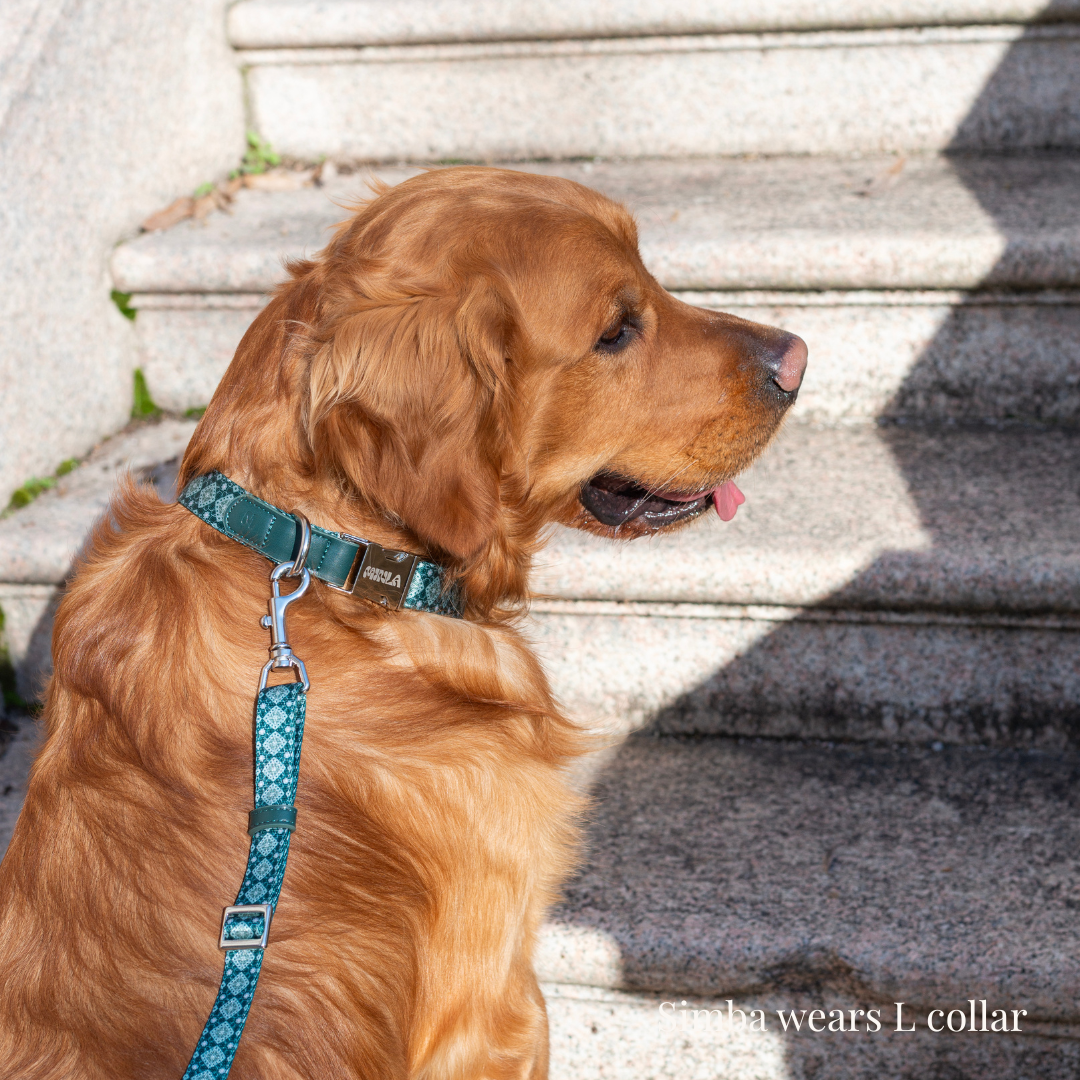 Dog Collar - Forest Gems