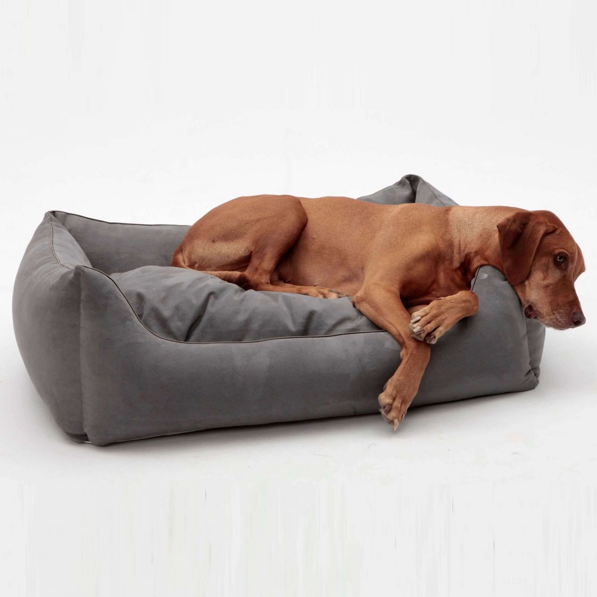 Hundebett Box Bett Alcanterra anthrazit