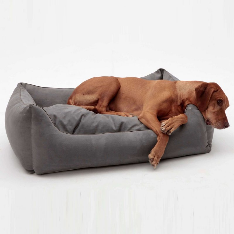 Hundebett Box Bett Alcanterra anthrazit