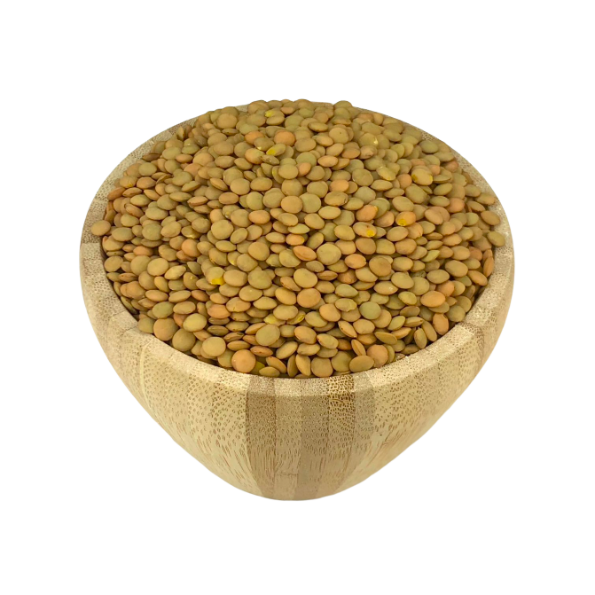 Bulk Bio Linsenblond