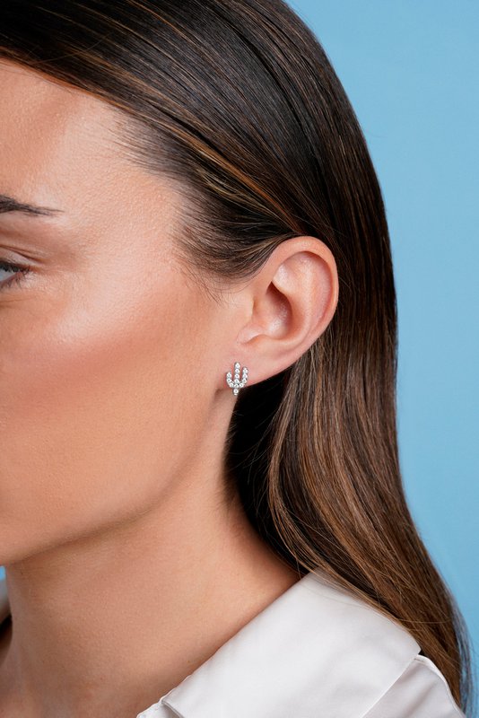 CACTUS EARRINGS IN SILVER
