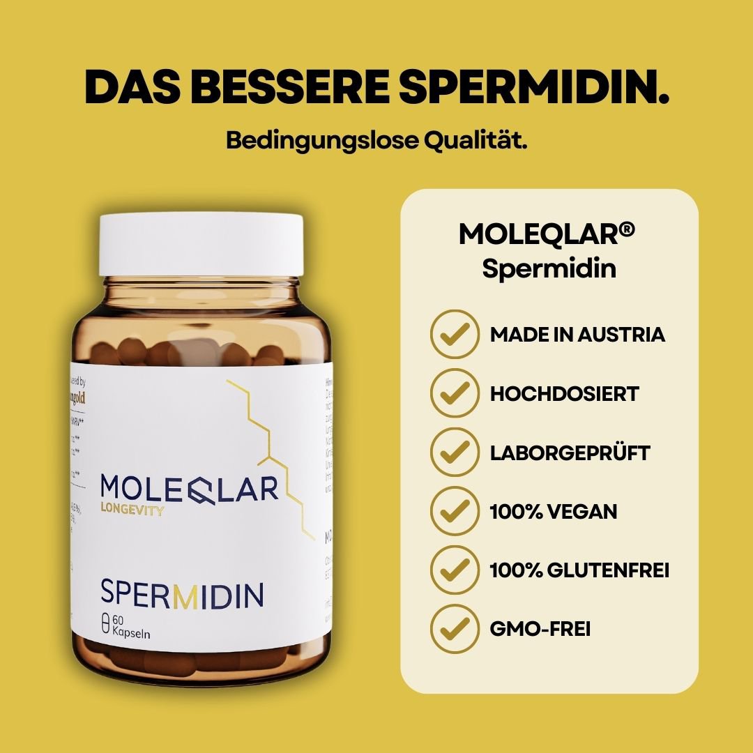 espermidina