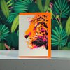 Jaguar neonorange