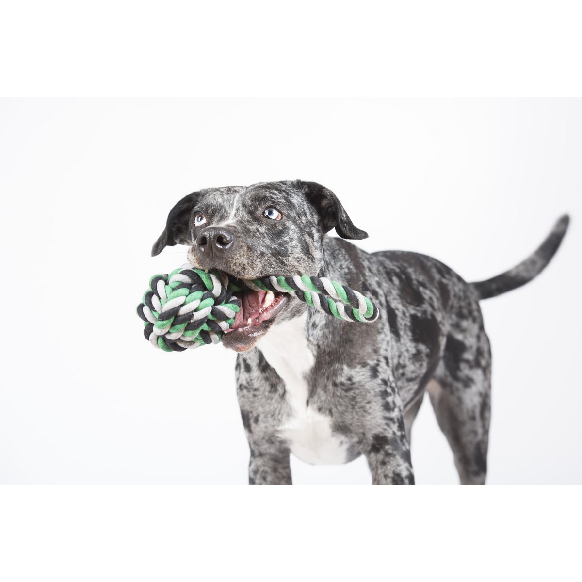 Mega palla da fionda: giocattolo cult per cani