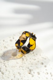 Gemarmerde harshartjesring met sculpturale gouden accenten