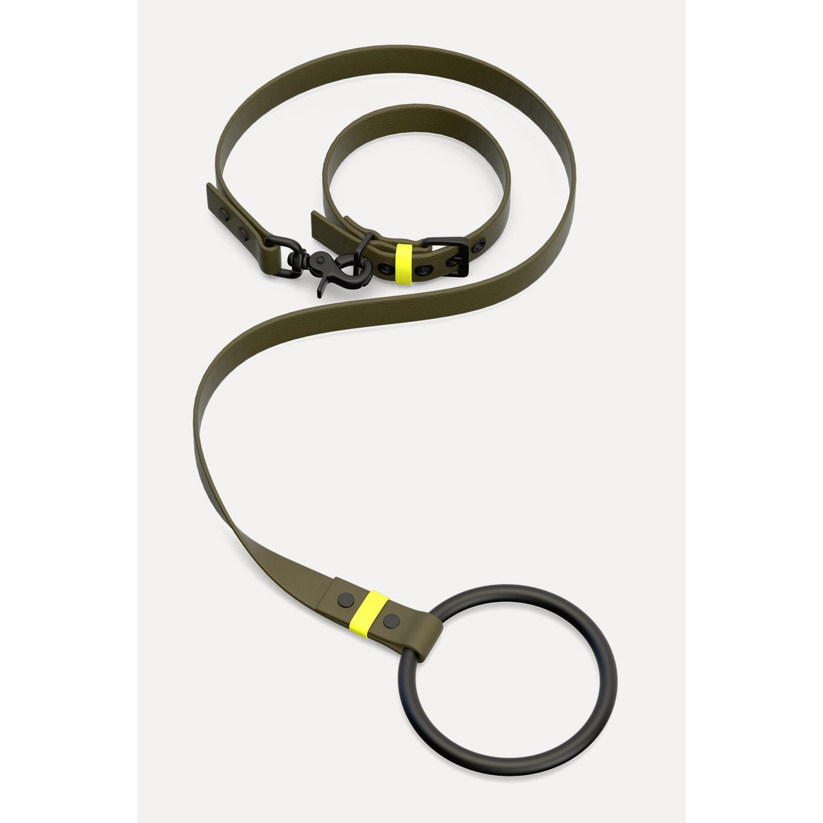 Dog collar C01