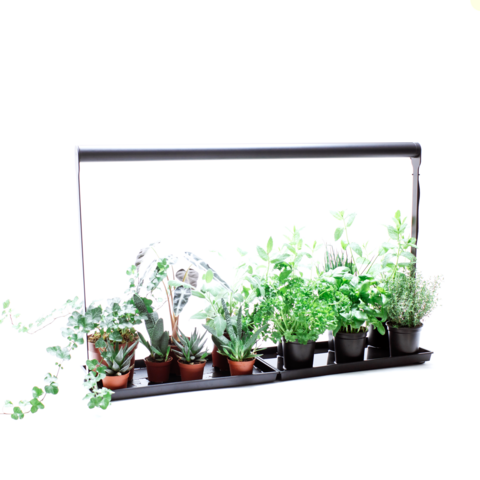 IndoorGarden