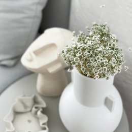Glixia in diversity: Colorful dried flowers for creative decoration