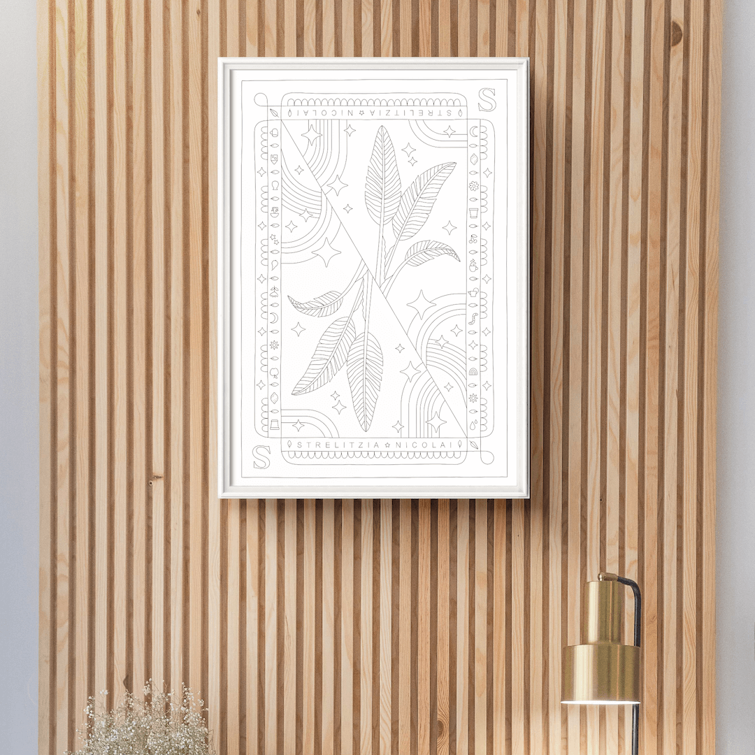 Strelitzia Nicolai Coloring Poster 50x70 cm
