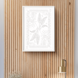 Strelitzia Nicolai Coloring Poster 50x70 cm