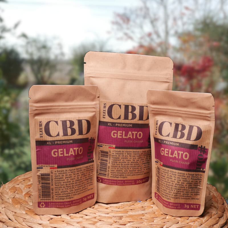 CBD Gelato XL Flowers