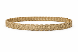 Cinturón HS para mujer - eslabones elásticos de monedas de oro - oro/oro - 72-100 cm