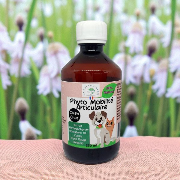 Phyto -Gelenkmobilität für Hunde und Katzen