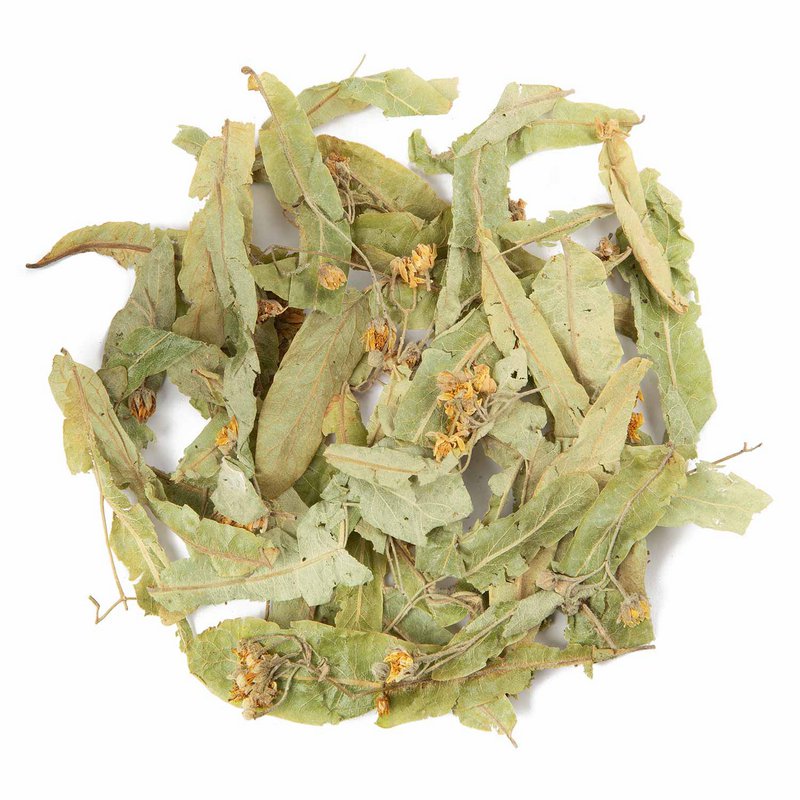 Lindenblüten Wildpflückung BIO Kräuter 50g Beutel