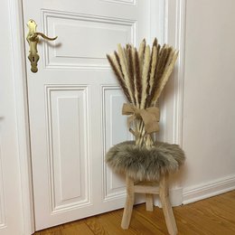 Pampa græs brun hvid 30 stk