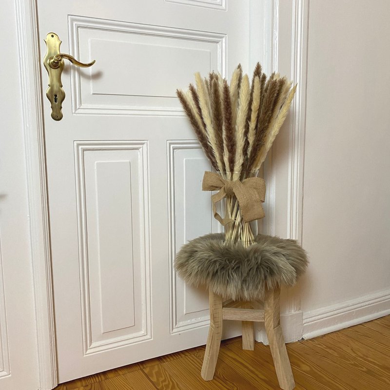 Pampa græs brun hvid 30 stk