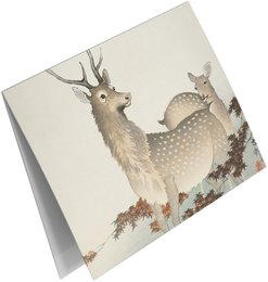 Conjunto de tarjetas de felicitación Estampados de animales